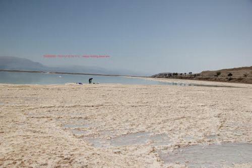 Lodge Nadia Hosting Dead Sea