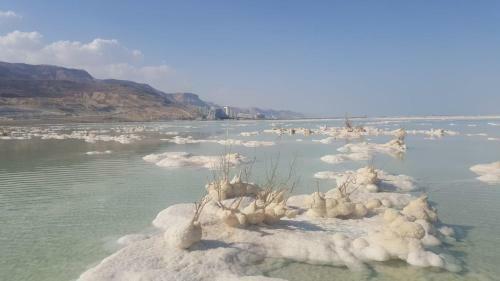 Lodge Nadia Hosting Dead Sea
