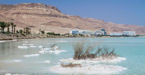 Lodge Nadia Hosting Dead Sea