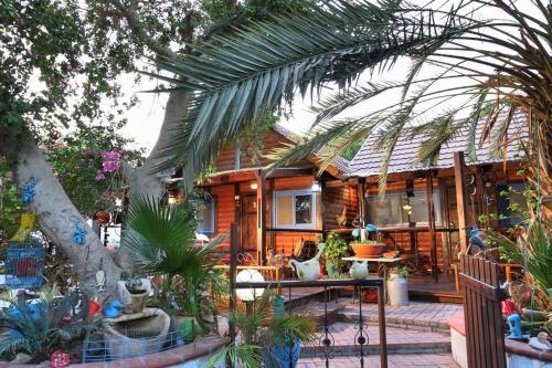 Dead Sea Tamar's Cabin