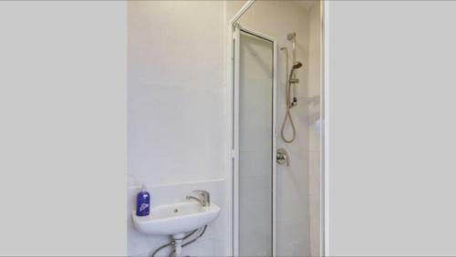 Hacarmel Apartment