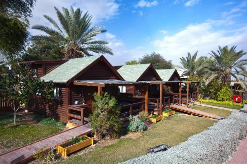 Lodge Belfer's Dead Sea Cabins