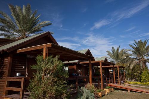 Lodge Belfer's Dead Sea Cabins