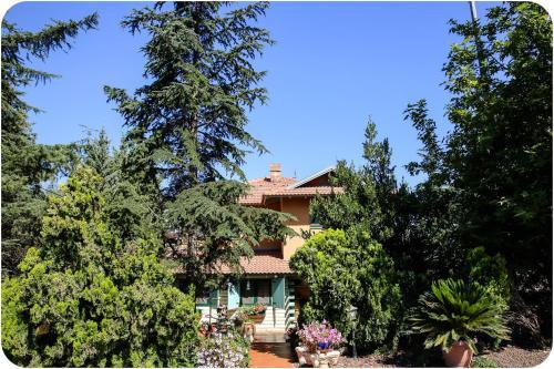 Agroturismo Kotcha In The Village