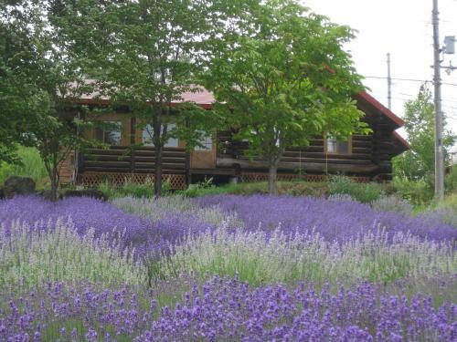 Lodge Log Cottage Himawari
