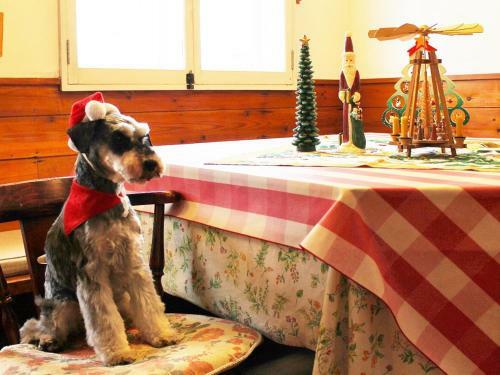 Posada Pension Tirol