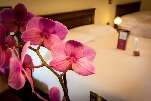 Hotel Residenza Petra