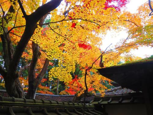 Murasakino Guesthouse