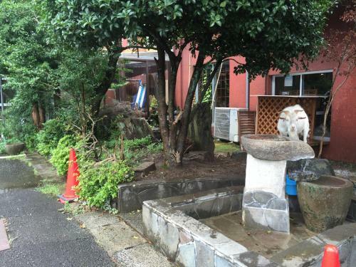Yagurumaso