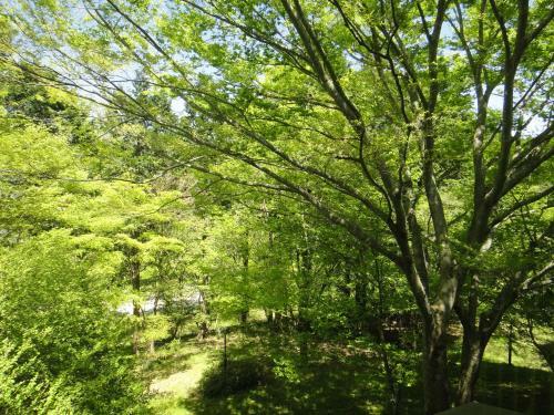 Top Resort Hakone Onsen Goku No Yado