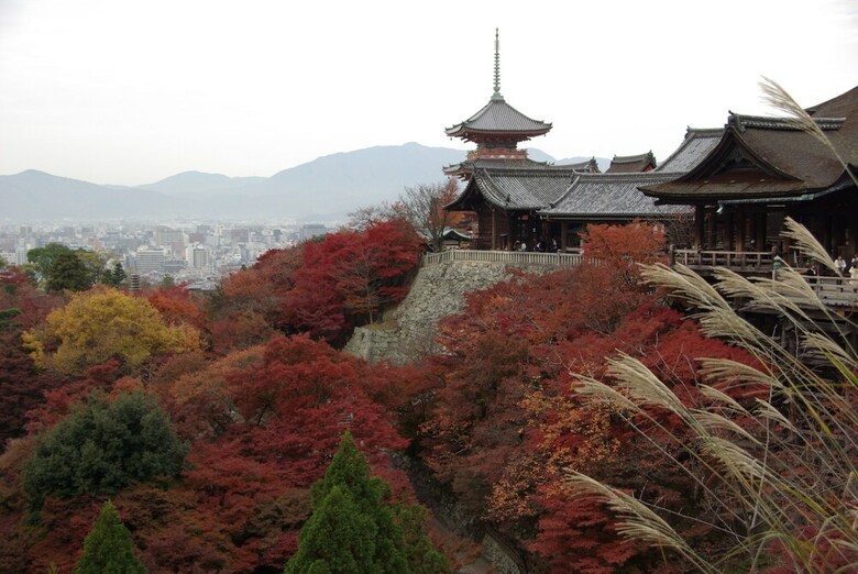 Kyoto Nene House