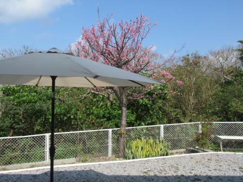 Hostal Guest House Himawari