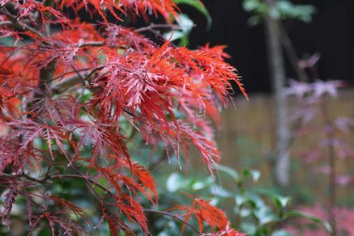 Hostal Nishijin No Sato