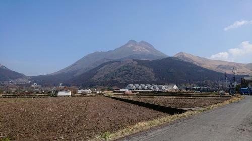 Yufuin Kinrinko Hotel