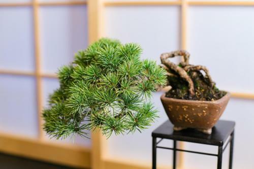 Kyonoyado Gekkoan