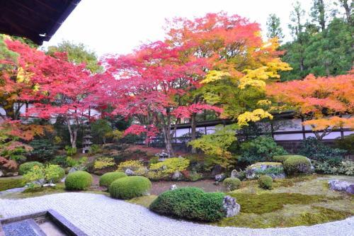 Hostal Jizo House