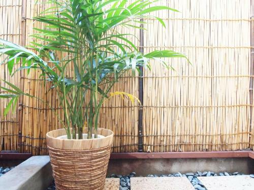 Oinai Guest House
