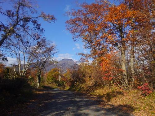 Hostal Guest House Funky Monkey Lodge, Myoko