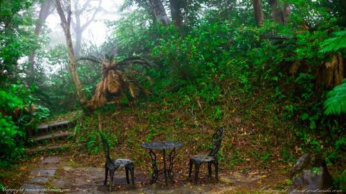 Posada Forest West Nishi