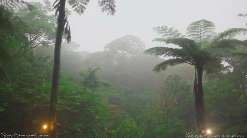 Posada Forest West Nishi
