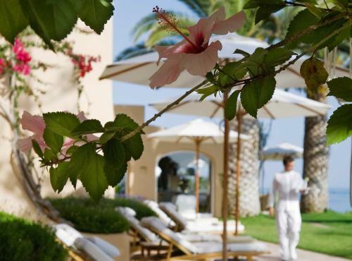 Hotel Vila Joya