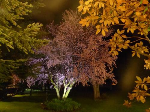 Hotel Hostal Vall D'�neu