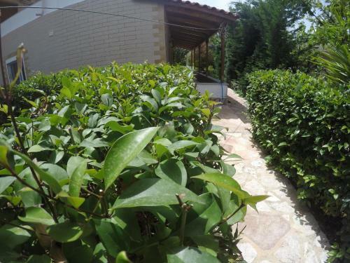 Apartamentos Vila Pollo