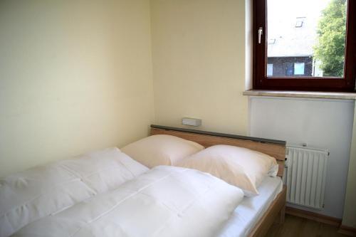 Apartamentos Winterberg Appartement 21054