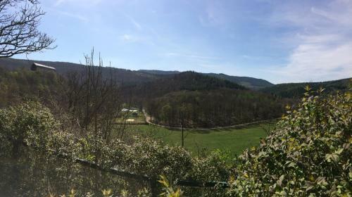 Apartamento Ferienwohnung Schwarzburgblick