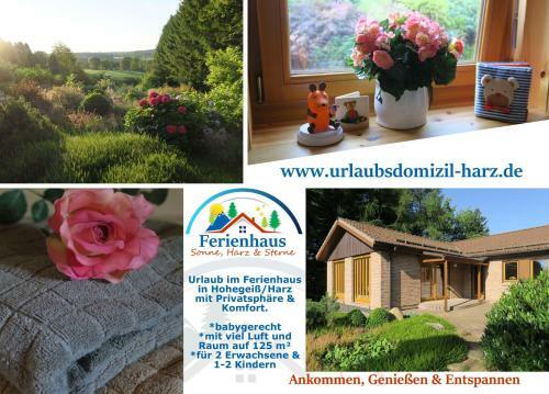 Ferienhaus-sonne-harz-sterne