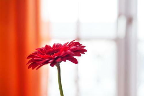 L�we Am Tiergarten Hotel*cafe-restaurant*bar