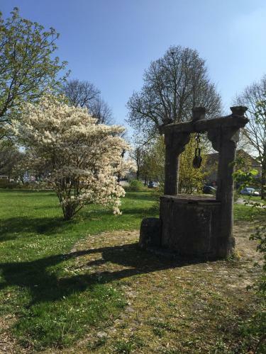 Hostal Hotel Bezold