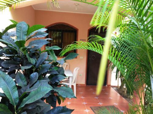 Apartamento Casa Lily & Coco