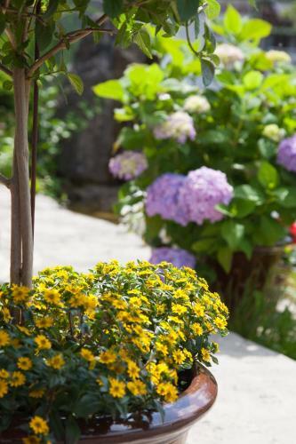 Hostal G�stehaus Behle-sch�perken
