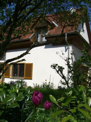 Apartamentos Ferienwohnung Lucia Huber