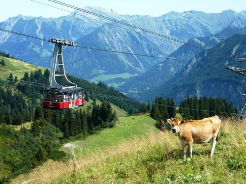 Apartamentos Landhaus Alpenflair Whg 403