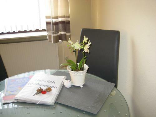 Apartment Haus Hamann