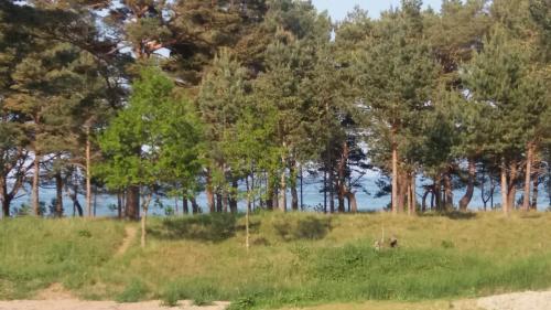 Prora Solitaire Apartment Mit Meerblick Block 2