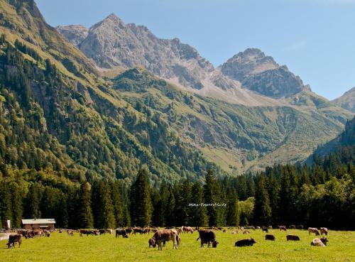 Apartamento Landhaus Aigner-vogler