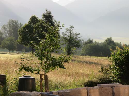 Apartamento Ferienwohnungen Moosh�usl