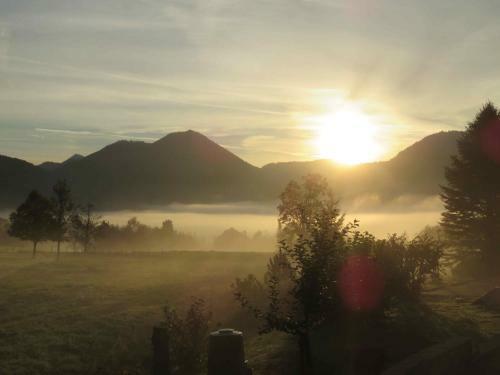 Apartamento Ferienwohnungen Moosh�usl
