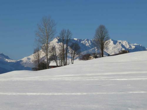 Apartamento Ferienwohnungen Moosh�usl