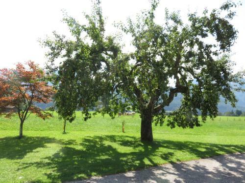 Apartamento Ferienwohnungen Moosh�usl