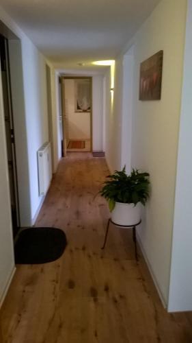 Apartamento Ferienhaus V�lkle