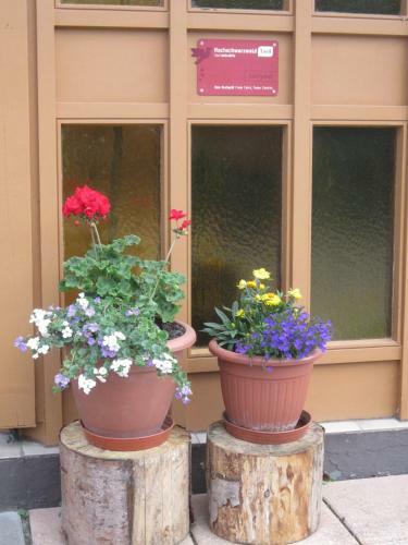 Apartamento Ferienhaus V�lkle