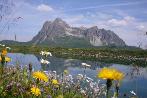 Apartamento Alpin Chalet Schr�cken