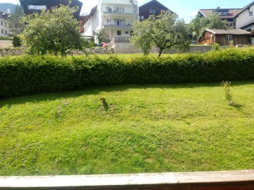 Apartamento Appartementhaus Untere Tanne