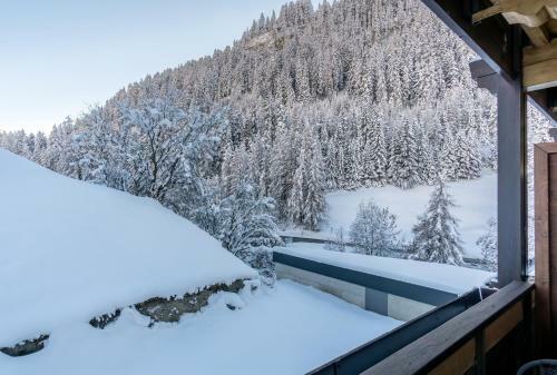 Hostal Pension Schlossberg
