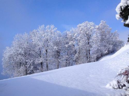 Bed & Breakfast Pension Schlossberg