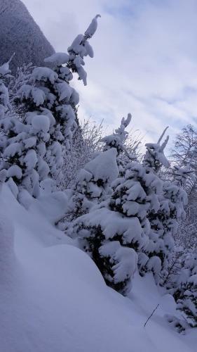 Hostal Pension Garni Maderer